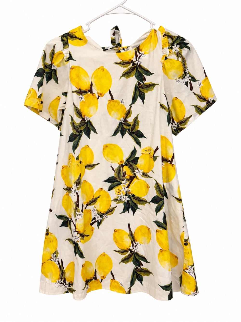 Loveriche Lemon Print Lined Dress with Pockets – Size Small